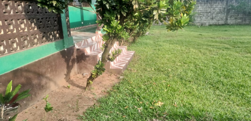 Entire Compound for Rent