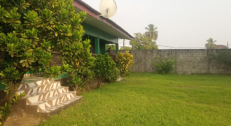 Entire Compound for Rent