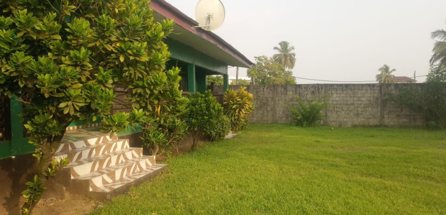 Entire Compound for Rent