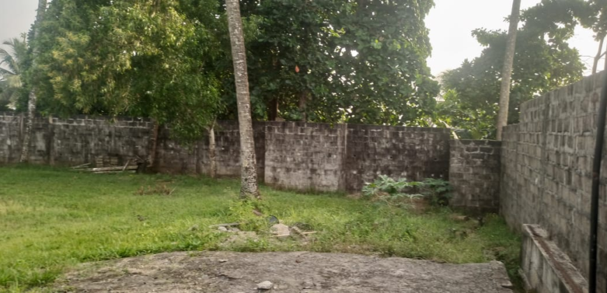 Entire Compound for Rent