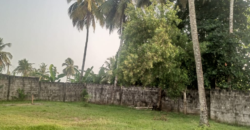 Entire Compound for Rent