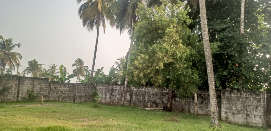 Entire Compound for Rent