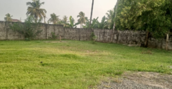 Entire Compound for Rent