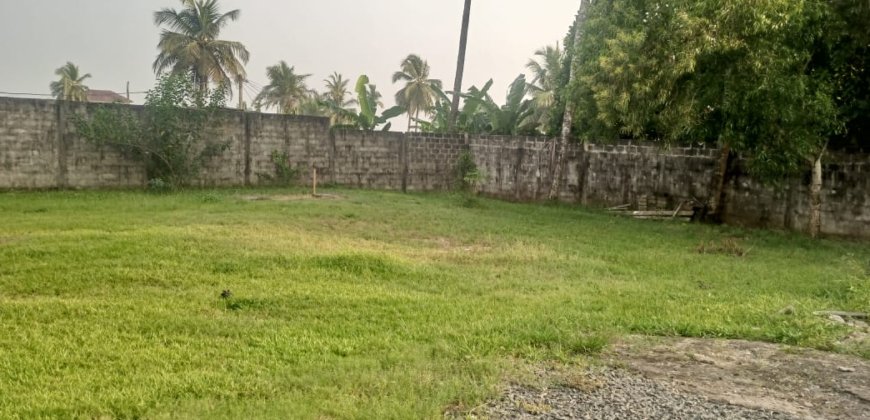 Entire Compound for Rent