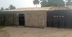 Entire Compound for Rent