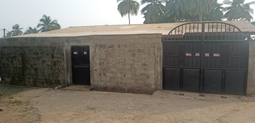 Entire Compound for Rent
