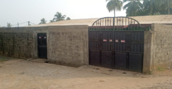Entire Compound for Rent