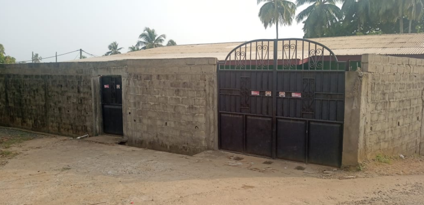 Entire Compound for Rent