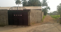 Entire Compound for Rent