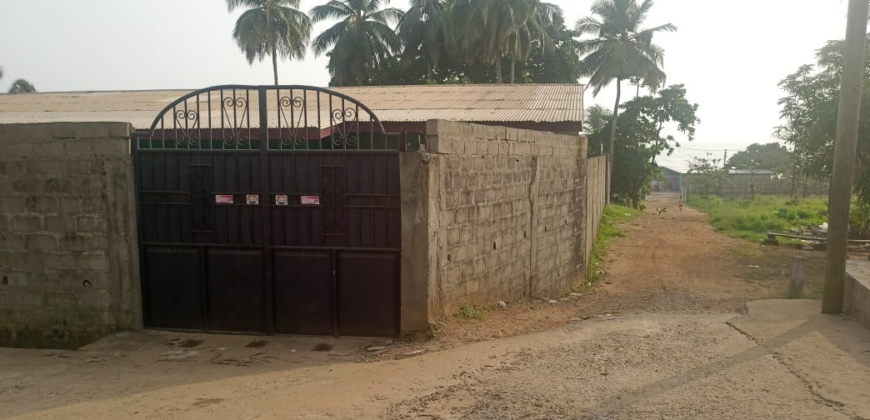 Entire Compound for Rent