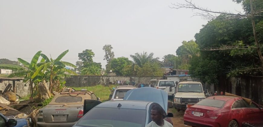 A Lot near President Ellen Johnson Sirfeaf