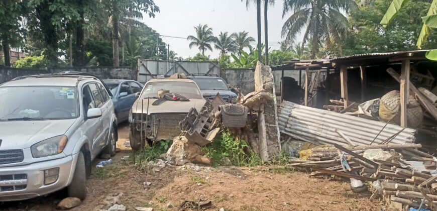 A Lot near President Ellen Johnson Sirfeaf