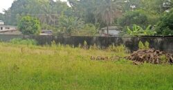 A Lot near President Ellen Johnson Sirfeaf