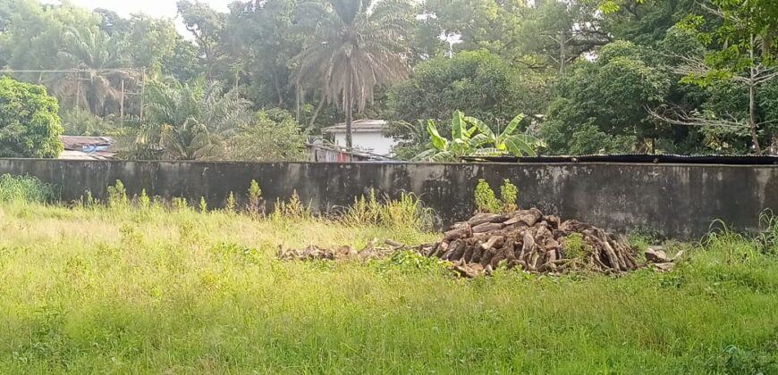 A Lot near President Ellen Johnson Sirfeaf