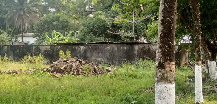 A Lot near President Ellen Johnson Sirfeaf