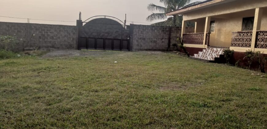 Entire Compound for Rent