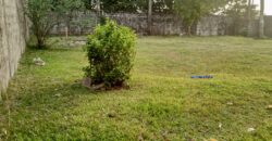 Entire Compound for Rent