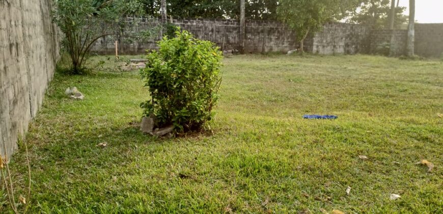 Entire Compound for Rent