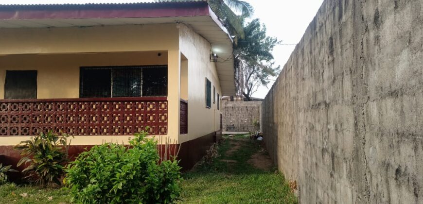 Entire Compound for Rent