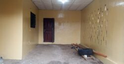 Entire Compound for Rent