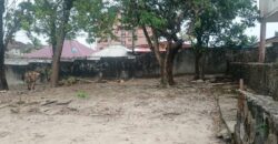 Residential Two-Story Building in the Old Road Community