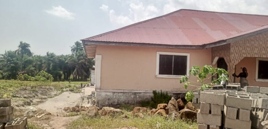 Huge Property with Finished House in the Rock Crusher Community