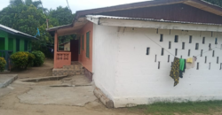 Barnesville Estate House for Rent