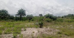 14 Acres of Beach Land in Marshall …….      (Property ID: 101)