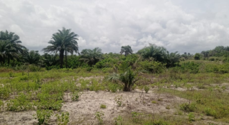 14 Acres of Beach Land in Marshall …….      (Property ID: 101)