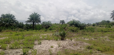 14 Acres of Beach Land in Marshall …….      (Property ID: 101)
