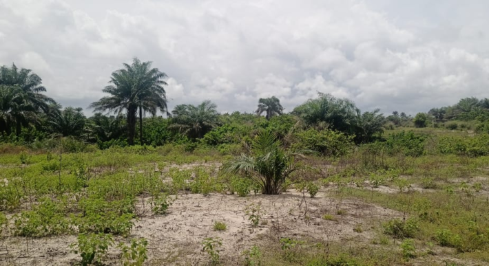 14 Acres of Beach Land in Marshall …….      (Property ID: 101)
