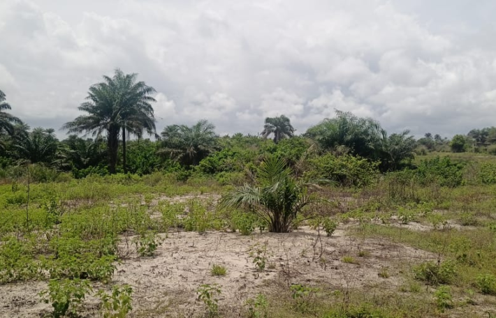 14 Acres of Beach Land in Marshall …….      (Property ID: 101)