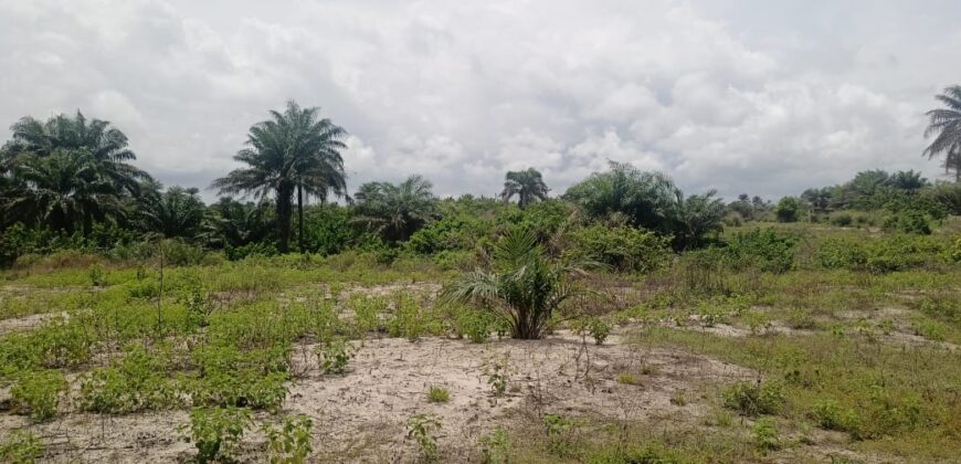 14 Acres of Beach Land in Marshall …….      (Property ID: 101)