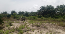 14 Acres of Beach Land in Marshall …….      (Property ID: 101)