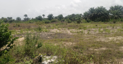 14 Acres of Beach Land in Marshall …….      (Property ID: 101)