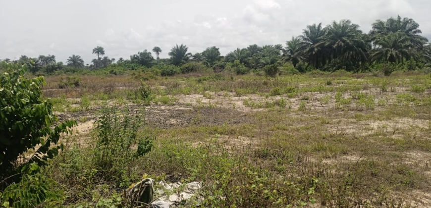 14 Acres of Beach Land in Marshall …….      (Property ID: 101)