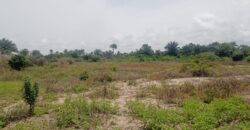 14 Acres of Prime Land in Marshall        $3,500/Lot