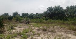 14 Acres of Prime Land in Marshall        $3,500/Lot