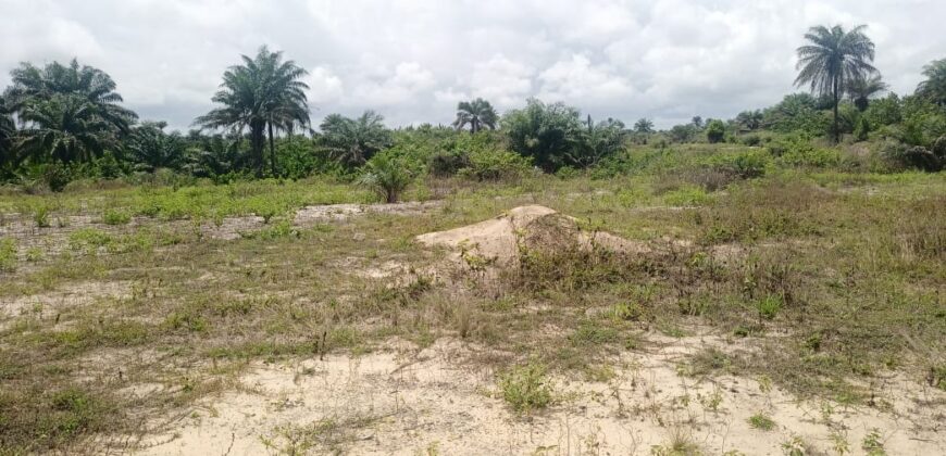 14 Acres of Prime Land in Marshall        $3,500/Lot