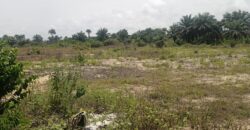 14 Acres of Prime Land in Marshall        $3,500/Lot