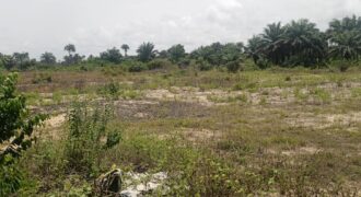 14 Acres of Prime Land in Marshall        $3,500/Lot