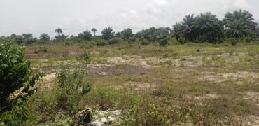 14 Acres of Prime Land in Marshall        $3,500/Lot