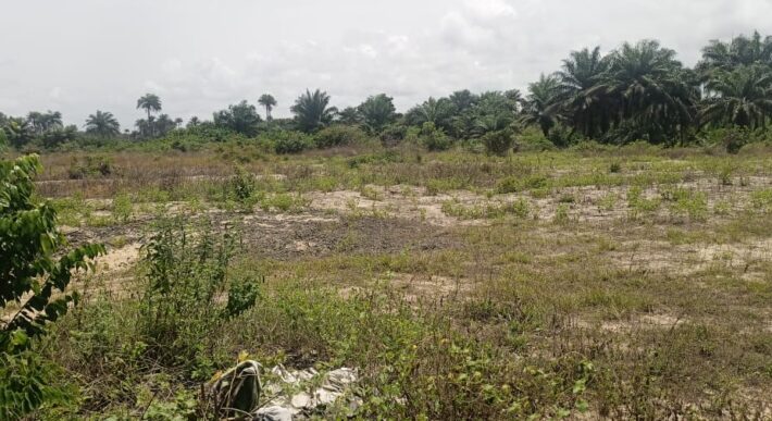 14 Acres of Prime Land in Marshall        $3,500/Lot