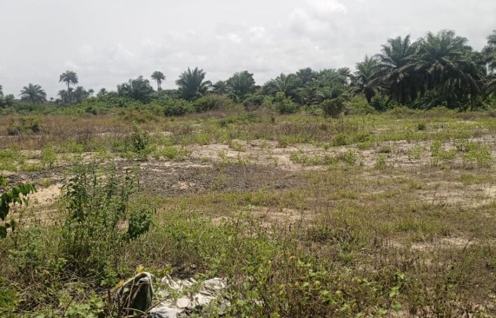 14 Acres of Prime Land in Marshall        $3,500/Lot