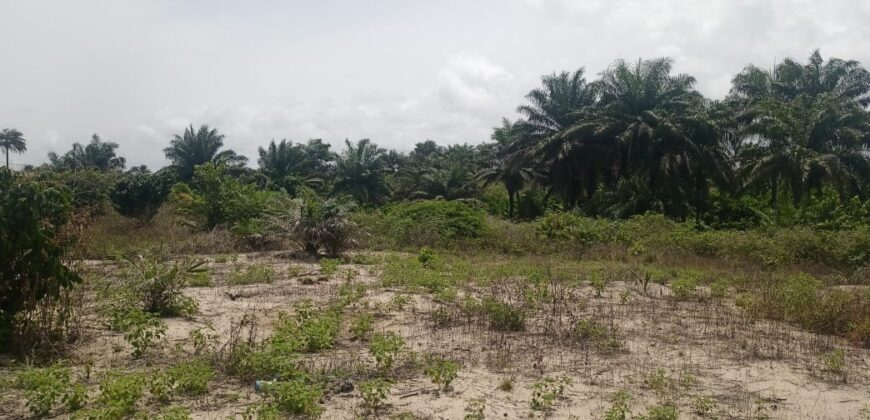 14 Acres of Prime Land in Marshall        $3,500/Lot