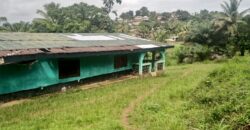 House and Land on GSA Road  $50K