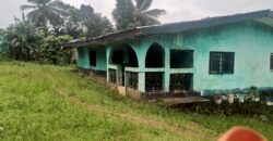 House and Land on GSA Road  $50K