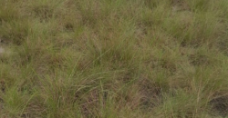 Beach Community Land      $1,700 per Lot