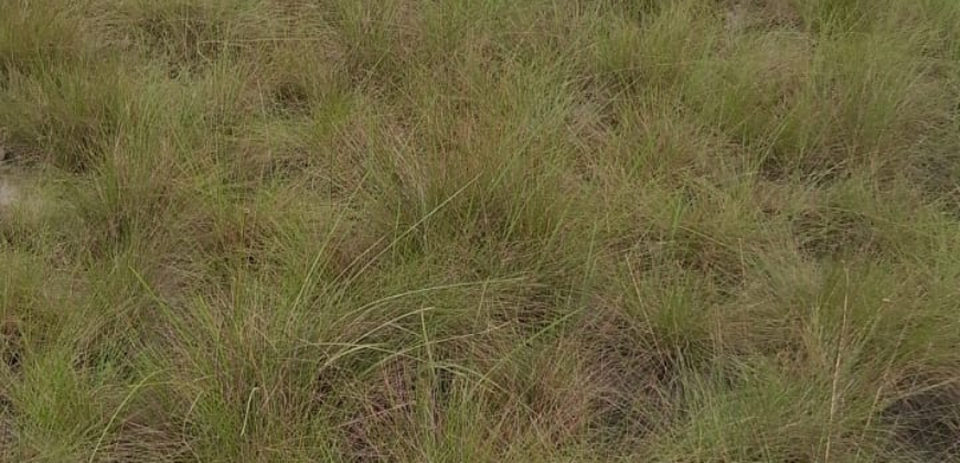Beach Community Land      $1,700 per Lot