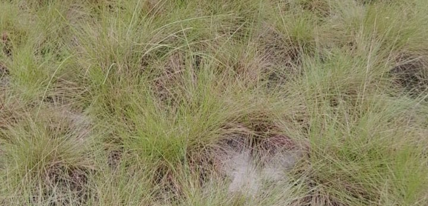Beach Community Land      $1,700 per Lot